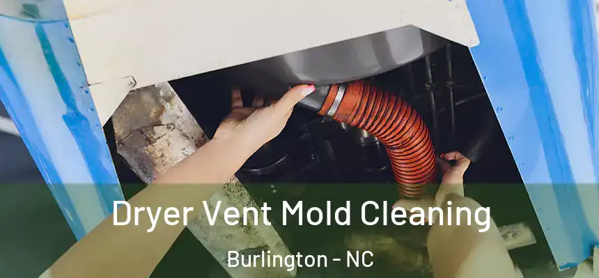  Dryer Vent Mold Cleaning Burlington - NC