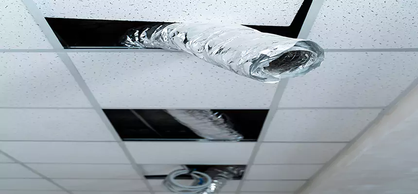 Our Air Duct Pet Hair Removal Services in Burlington, NC