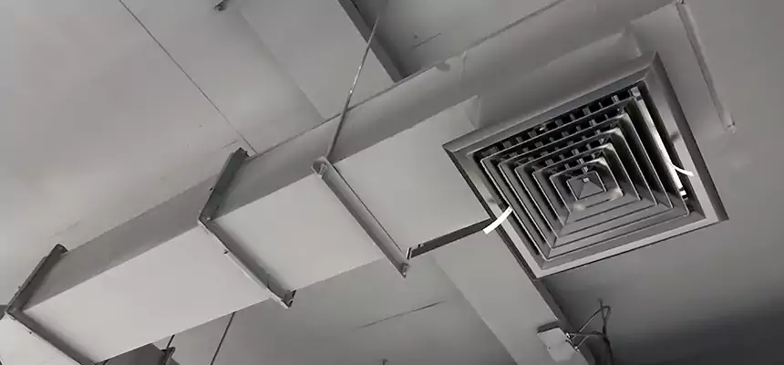 Our Rodent Droppings In Vents Services in Burlington, NC