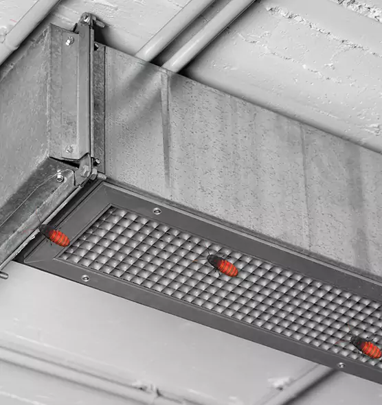 About Air Duct Cockroach Removal in Burlington, NC