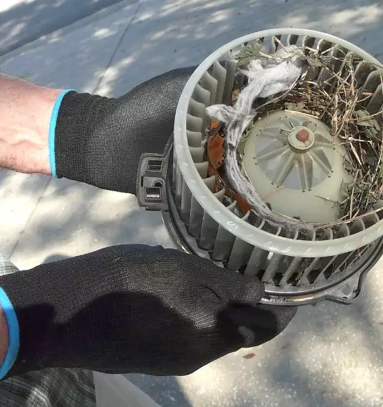 About Air Duct Mice Removal in Burlington, NC