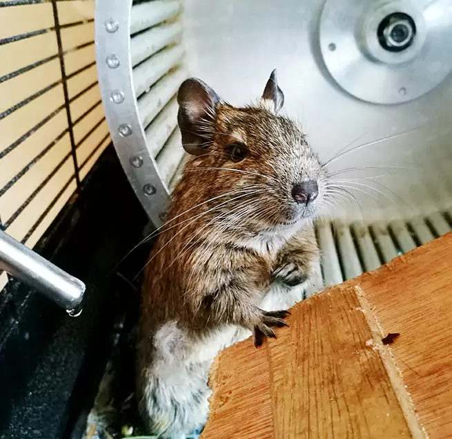 Why Homeowners & Businesses Trust Us Burlington, NC?