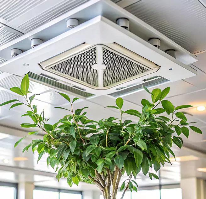 Why Homeowners & Businesses Trust Us in Burlington, NC?